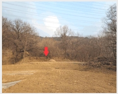  2025Ÿ��4050 �뱸 �޼��� ������ �ְ踮 302      ����(��1)���