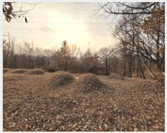  2025Ÿ��4050 �뱸 �޼��� ������ �ְ踮 302      ����(��1)���