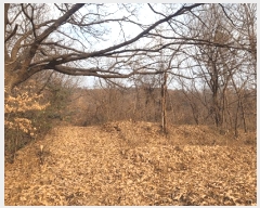  2025Ÿ��4050 �뱸 �޼��� ������ �ְ踮 302      ����(��1)���