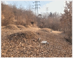  2025Ÿ��4050 �뱸 �޼��� ������ �ְ踮 302      ����(��1)���