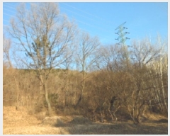  2025Ÿ��4050 �뱸 �޼��� ������ �ְ踮 302      ����(��1)���