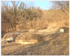  2025Ÿ��4050 �뱸 �޼��� ������ �ְ踮 302      ����(��1)���