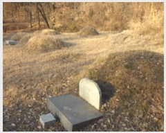  2025Ÿ��4050 �뱸 �޼��� ������ �ְ踮 302      ����(��1)���