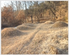  2025Ÿ��4050 �뱸 �޼��� ������ �ְ踮 302      ����(��1)���