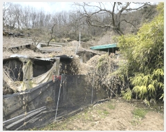  2025Ÿ��30954 ��� ���ɱ� ����� ��� 70      ����(����)���