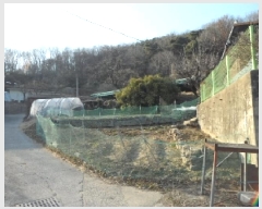  2025Ÿ��30954 ��� ���ɱ� ����� ��� 70      ����(����)���