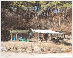  2025Ÿ30996  ֱ  ȭ 510-8      