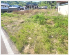  2025Ÿ31003  ֱ  ݻ긮 911-1      ()