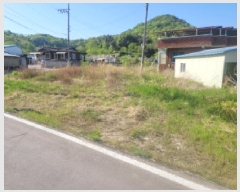  2025Ÿ31003  ֱ  ݻ긮 911-1      ()