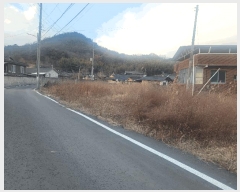  2025Ÿ31003  ֱ  ݻ긮 911-1      ()