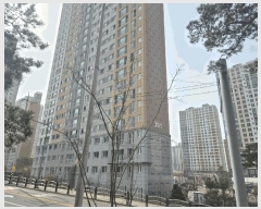  2025Ÿ31038 뱸 ޼  â 1447 ƹ̷۽Ʈ 301 5501ȣ   Ʈ