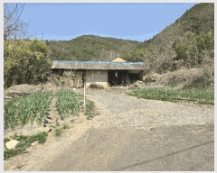  2025Ÿ31045 뱸 ޼   496 1ȣ     ð