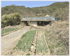  2025Ÿ31045 뱸 ޼   496 1ȣ     ð