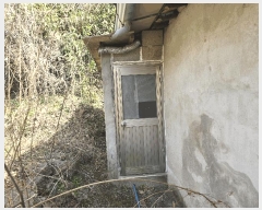  2025Ÿ31045 뱸 ޼   496 1ȣ     ð