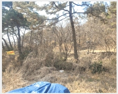  2025Ÿ31098 뱸 ޼  ϸ 47      (Ӿ)