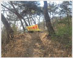  2025Ÿ31098 뱸 ޼  ϸ 47      (Ӿ)