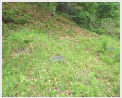  2025Ÿ31098 뱸 ޼  ϸ 47      (Ӿ)