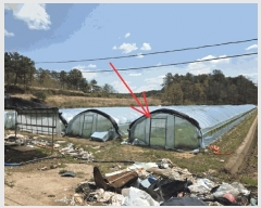  2025Ÿ31122 뱸 ޼ Ϻ  363      (1)