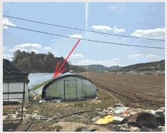  2025Ÿ31122 뱸 ޼ Ϻ  363      (1)