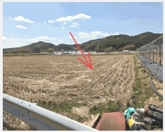  2025Ÿ31122 뱸 ޼ Ϻ  363      (1)