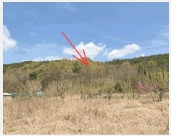  2025Ÿ31122 뱸 ޼ Ϻ  363      (1)