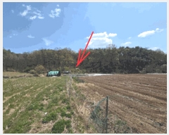  2025Ÿ31122 뱸 ޼ Ϻ  363      (1)