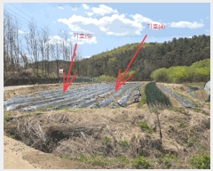  2025Ÿ��31122 �뱸 �޼��� �Ϻ�� �� ��30      ����(�Ӿ�)���