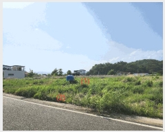  2025Ÿ31152  ֱ  긮 273      (1)