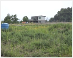  2025Ÿ31152  ֱ  긮 273      (1)