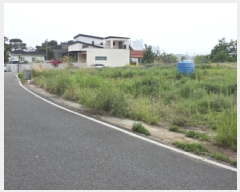  2025Ÿ31152  ֱ  긮 273      (1)