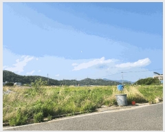  2025Ÿ31152  ֱ  긮 273      (1)