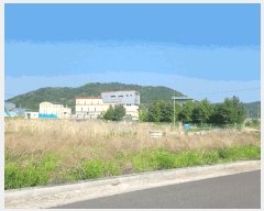  2025Ÿ31242  ֱ  ȭ 435-4      ()