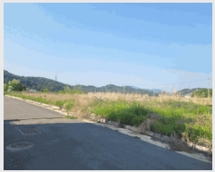  2025Ÿ31242  ֱ  ȭ 435-4      ()