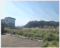  2025Ÿ31242  ֱ  ȭ 435-4      ()