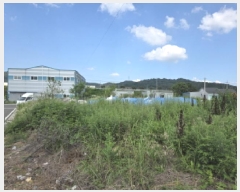  2025Ÿ��31242 ��� ���ֱ� ������ ���긮 277-2      ����(��1)���