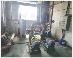  2025Ÿ31278  ɱ ٻ ۰ 1856      