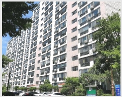  2025Ÿ31363 뱸 ޼  500 ûŸ 102 7709ȣ    Ʈ