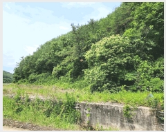  2025Ÿ31393  ɱ ָ Ű 102      (Ӿ)