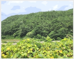  2025Ÿ31393  ɱ ָ Ű 102      (Ӿ)