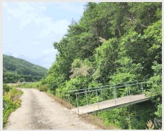  2025Ÿ31393  ɱ ָ Ű 102      (Ӿ)