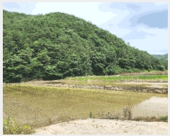  2025Ÿ31393  ɱ ָ Ű 102      (Ӿ)