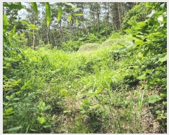  2025Ÿ31393  ɱ ָ Ű 102      (Ӿ)