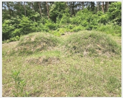  2025Ÿ31393  ɱ ָ Ű 102      (Ӿ)