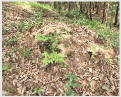  2025Ÿ31393  ɱ ָ Ű 102      (Ӿ)