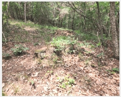  2025Ÿ31393  ɱ ָ Ű 102      (Ӿ)