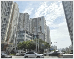  2025Ÿ��31447  ����Ʈ���