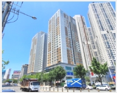  2025Ÿ��31447  ����Ʈ���