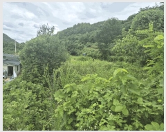  2025Ÿ31453  ɱ   666-1      (1)