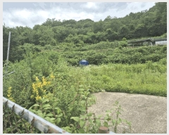  2025Ÿ31453  ɱ   666-1      (1)