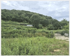  2025Ÿ31453  ɱ   666-1      (1)